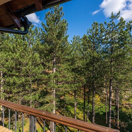 Apartment Grey Mountain زلاتيبور المظهر الخارجي الصورة